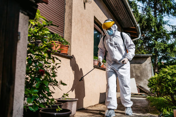 Trusted Tolleson, AZ Pest Control Experts